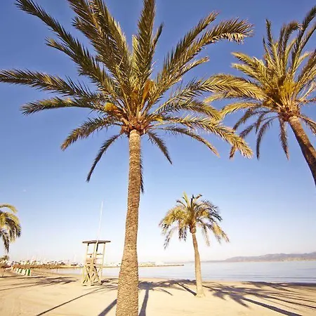 Mll Mediterranean Bay - Adults Only El Arenal (Mallorca)