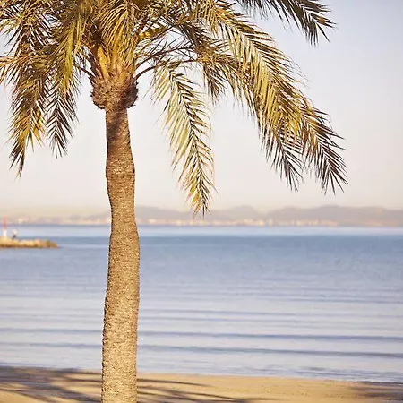 ホテル Mll Mediterranean Bay - Adults Only エル・アレナル